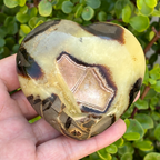 Septarian Heart (Dragon Stone)