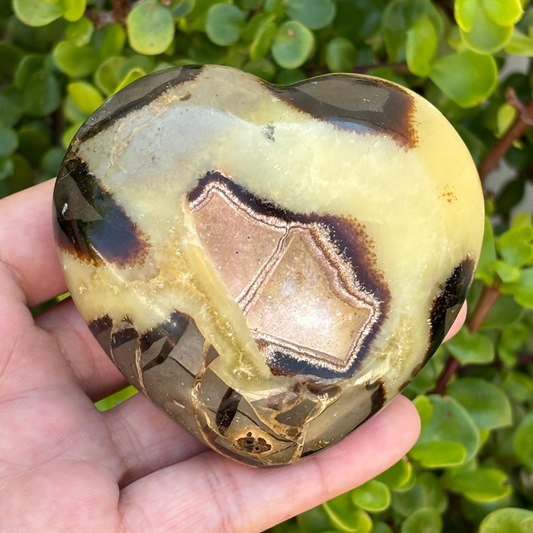 Septarian Polished Heart (Dragon Stone)
