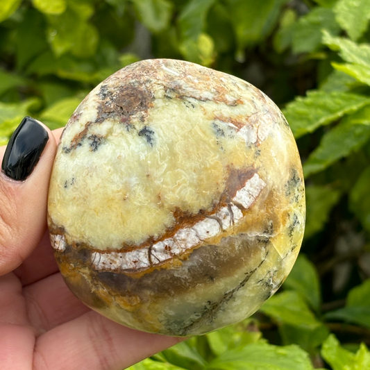 Dendritic Opal Palm Stone