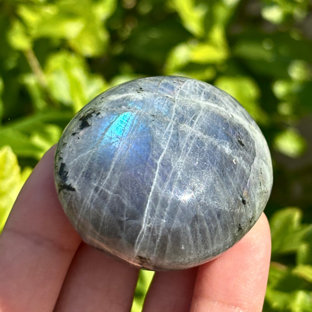 Labradorite Purple Blue Palm Stone