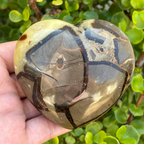 Septarian Heart (Dragon Stone)
