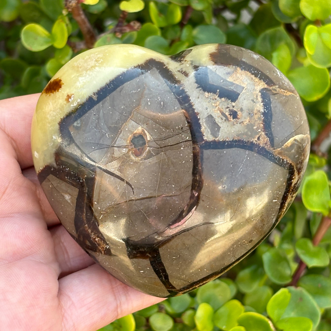 Septarian Polished Heart (Dragon Stone)