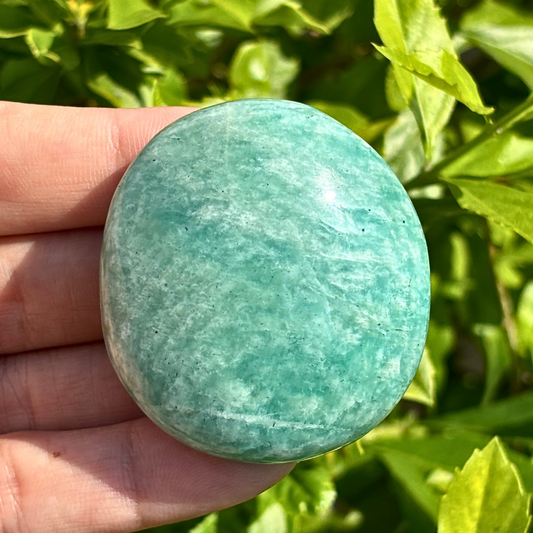 Amazonite Palm Stone