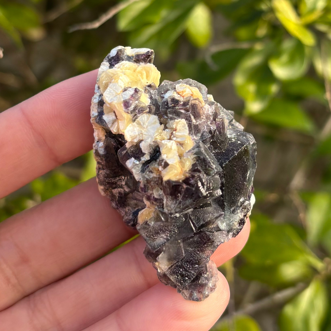 Fluorite (Green & Purple) with Schorl & Muscovite Specimen