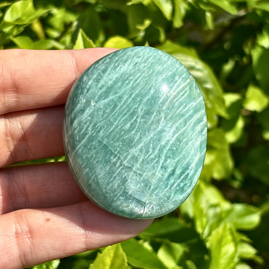 Amazonite Palm Stone