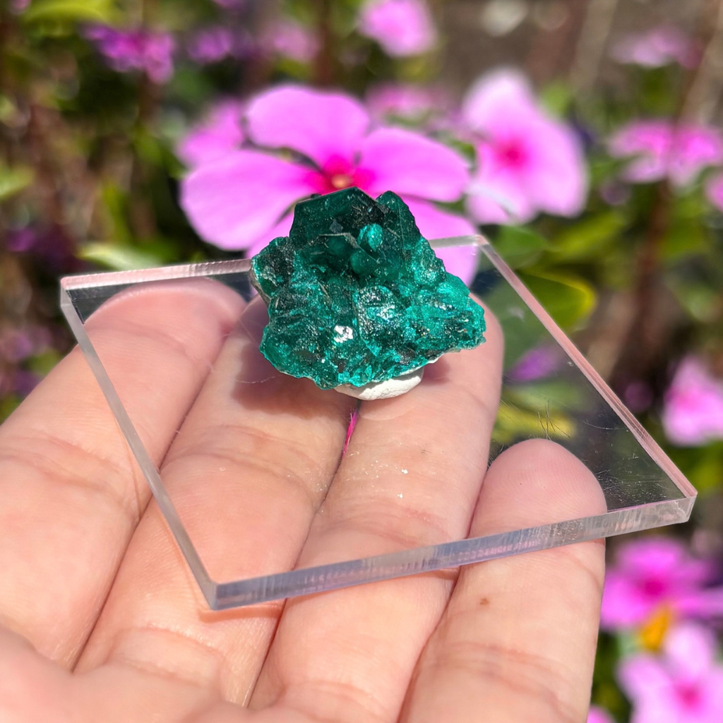 Dioptase Specimen