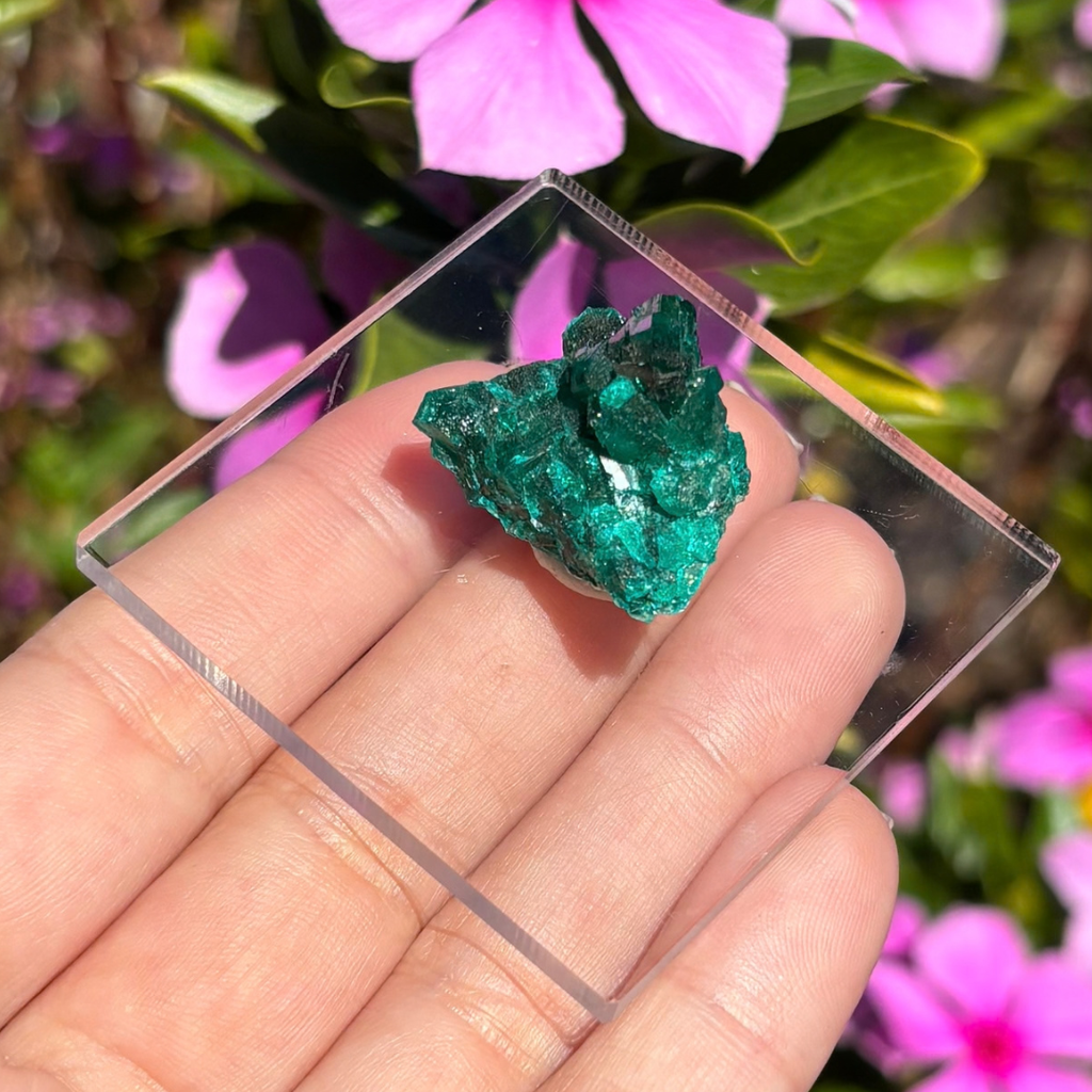 Dioptase Specimen
