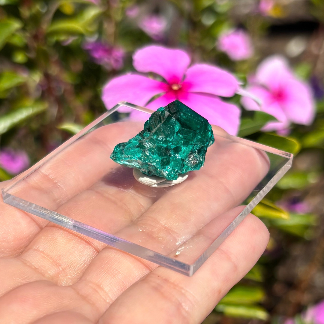 Dioptase Specimen
