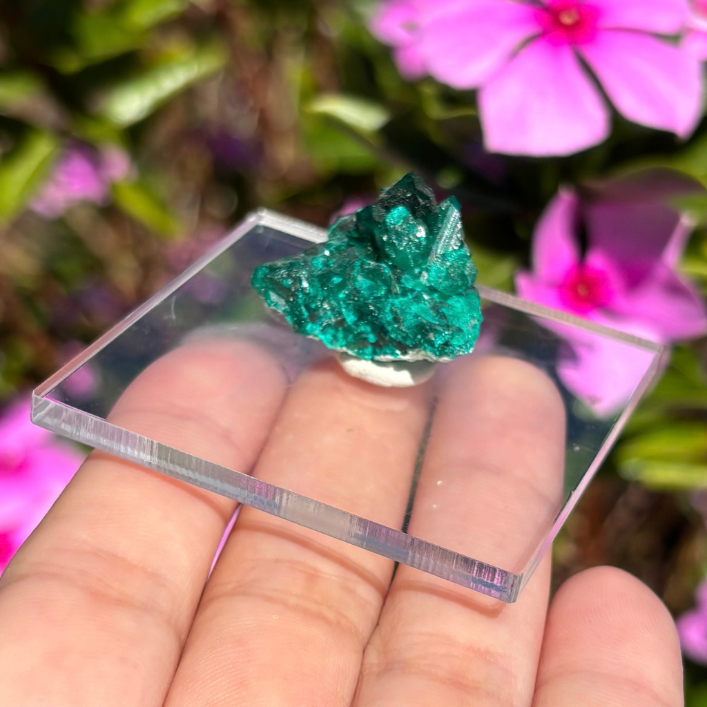 Dioptase Specimen
