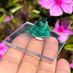 Dioptase Specimen