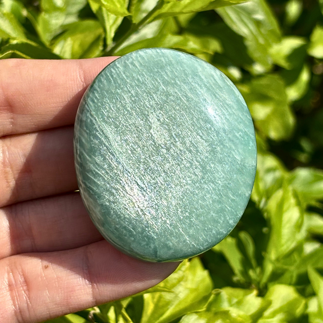 Amazonite Palm Stone