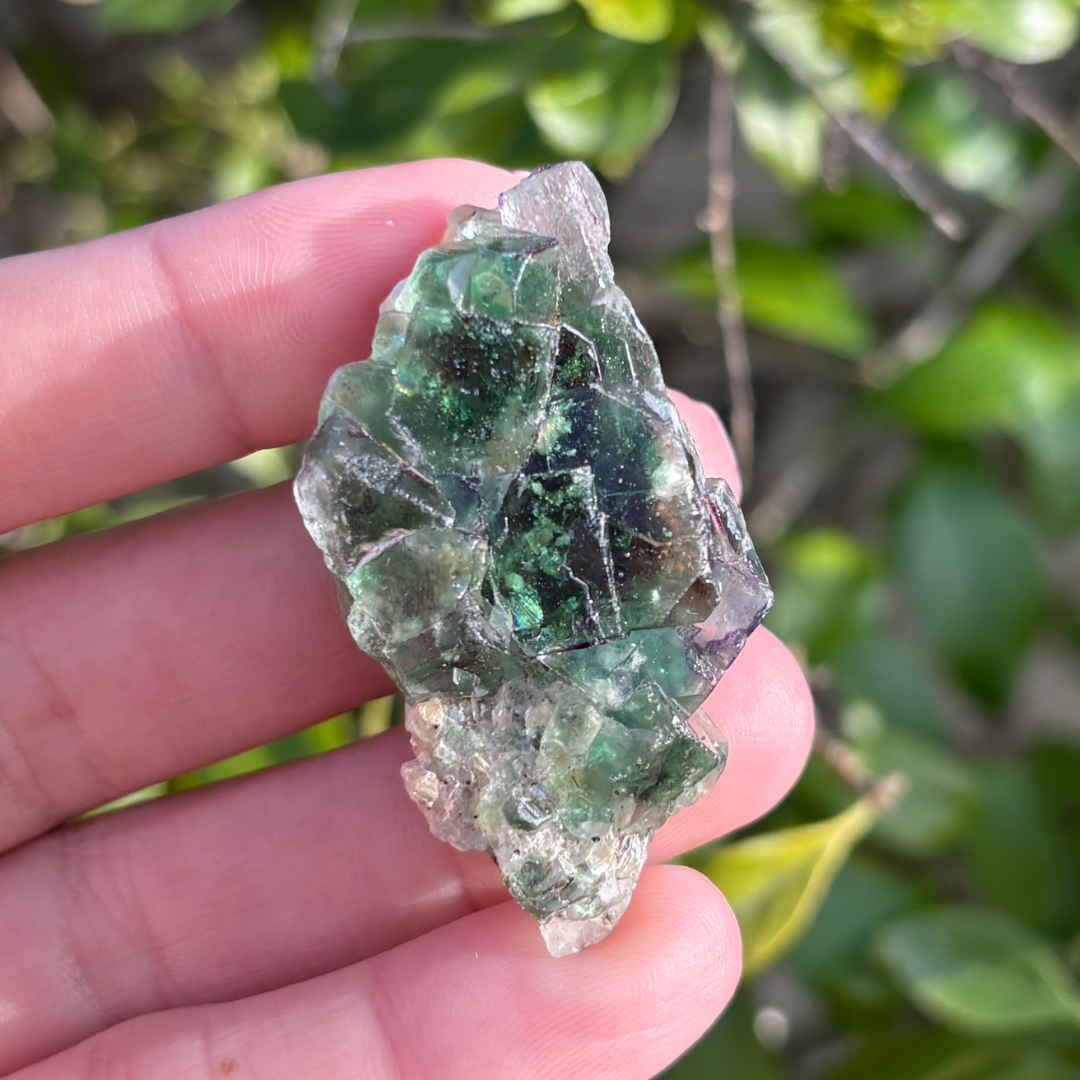 Fluorite (Green) with Schorl & Muscovite Specimen