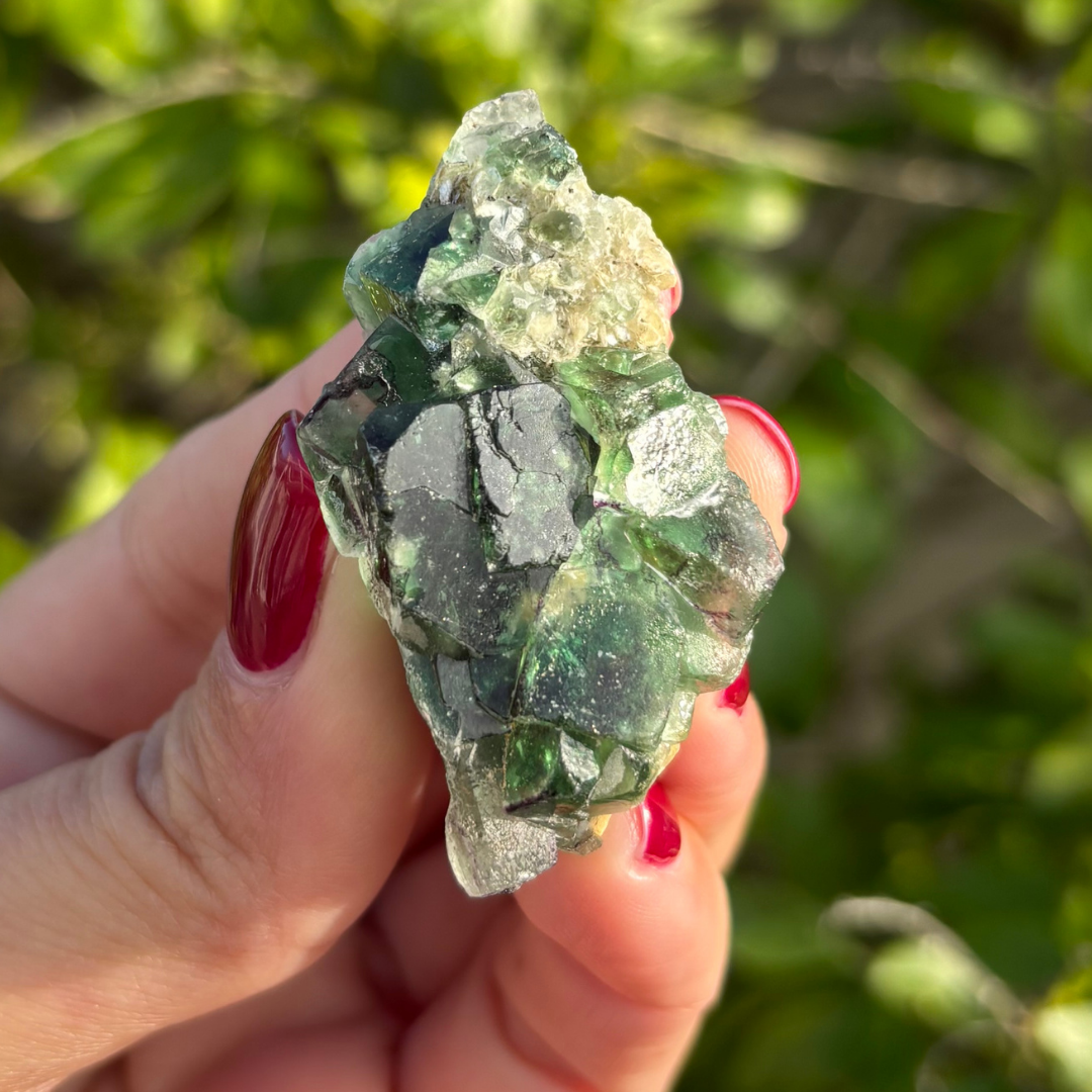 Fluorite (Green) with Schorl & Muscovite Specimen