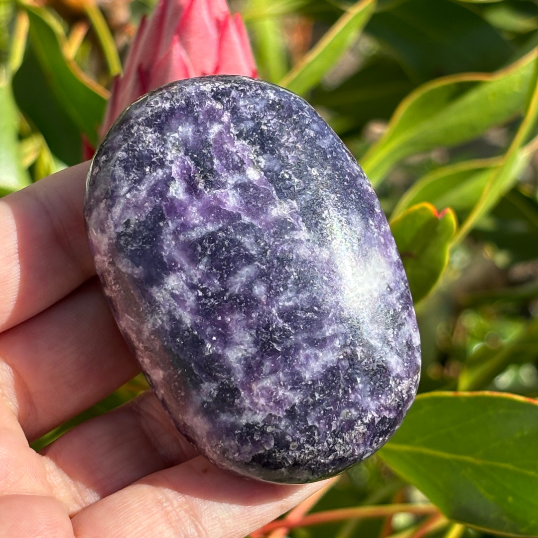 Lepidolite Palm Stone - Large