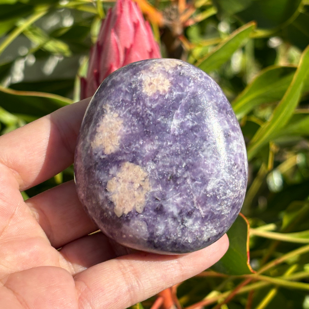 Lepidolite Palm Stone - Large