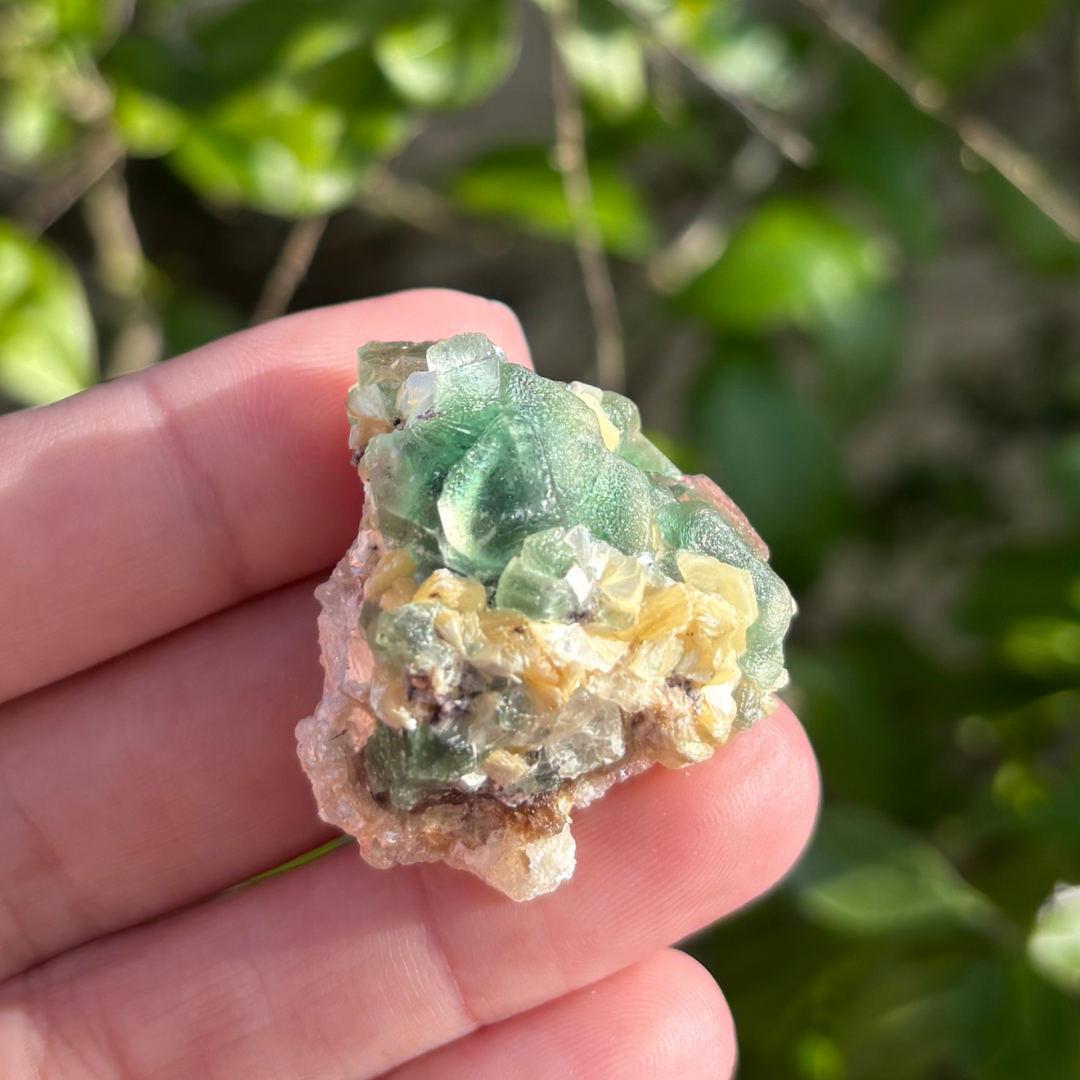 Fluorite (Green) with Schorl & Muscovite Specimen
