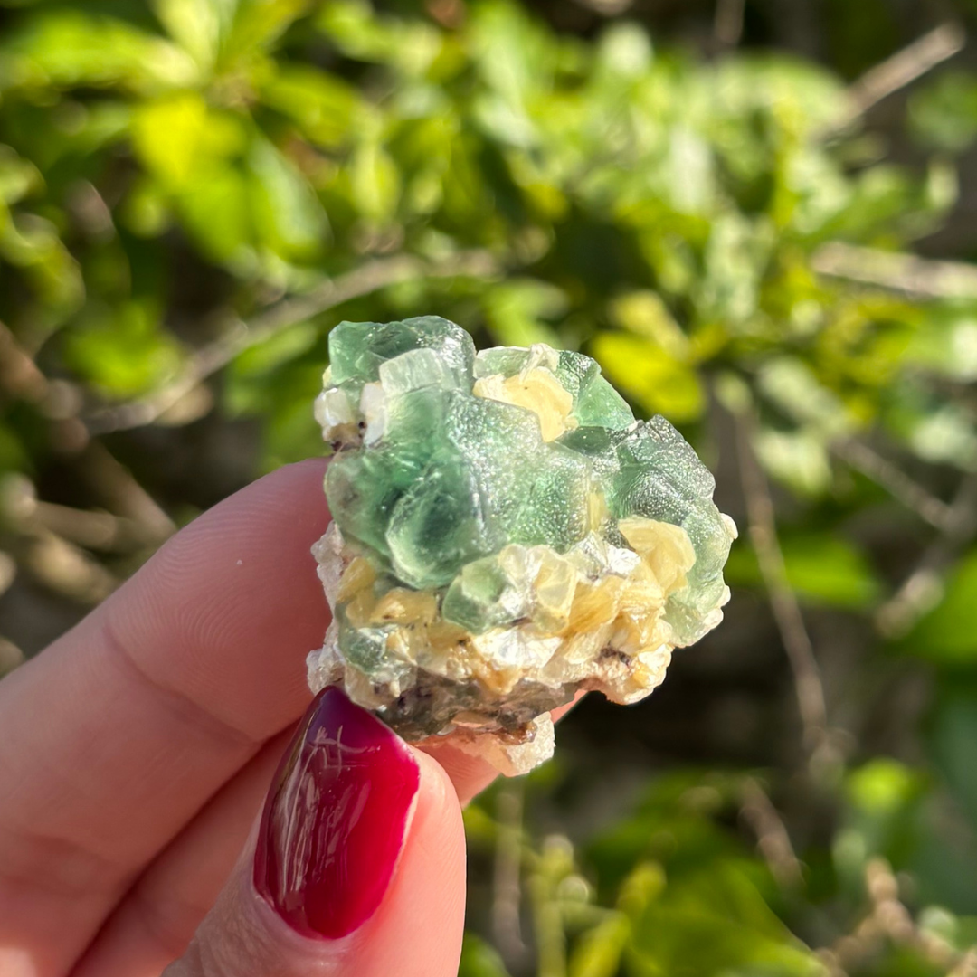Fluorite (Green) with Schorl & Muscovite Specimen