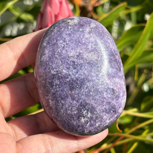 Lepidolite Palm Stone - Large
