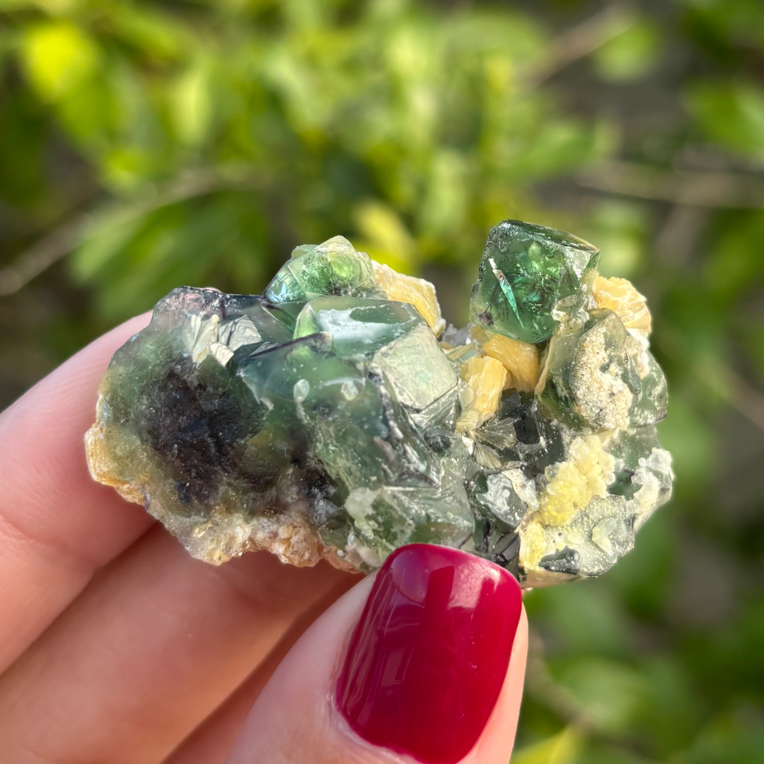 Fluorite (Green & Purple) with Schorl & Muscovite Specimen