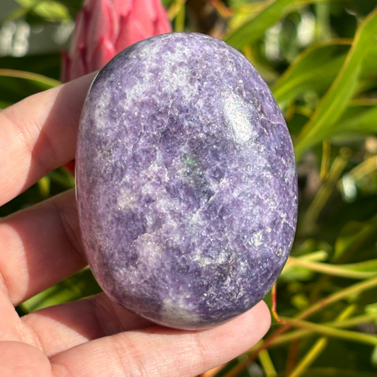 Lepidolite Palm Stone - Large
