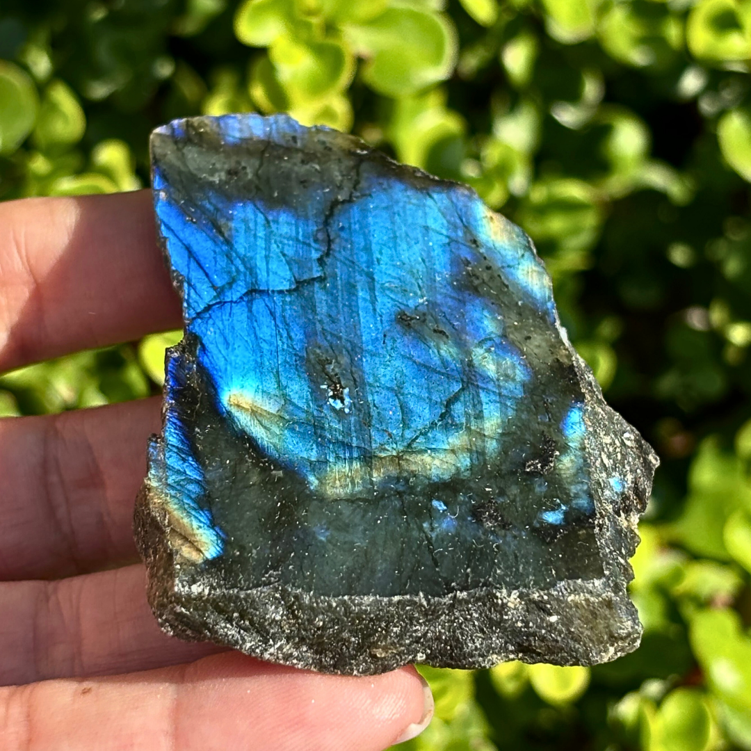 Labradorite Half Polished Specimen