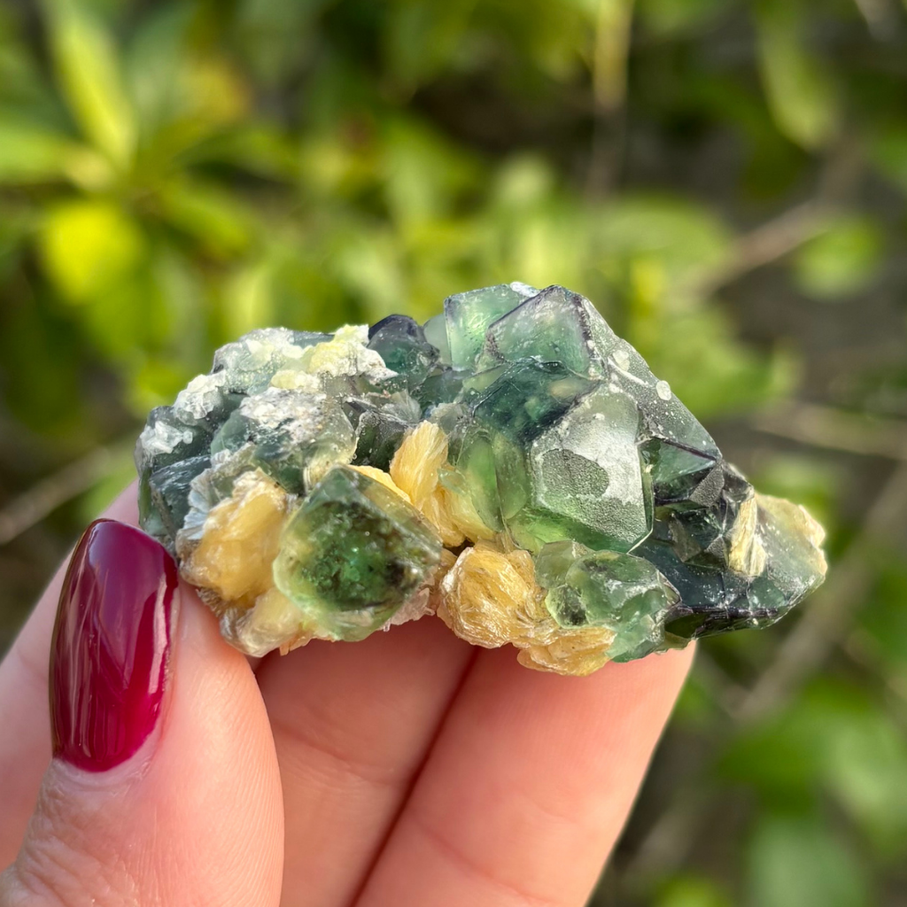 Fluorite (Green & Purple) with Schorl & Muscovite Specimen