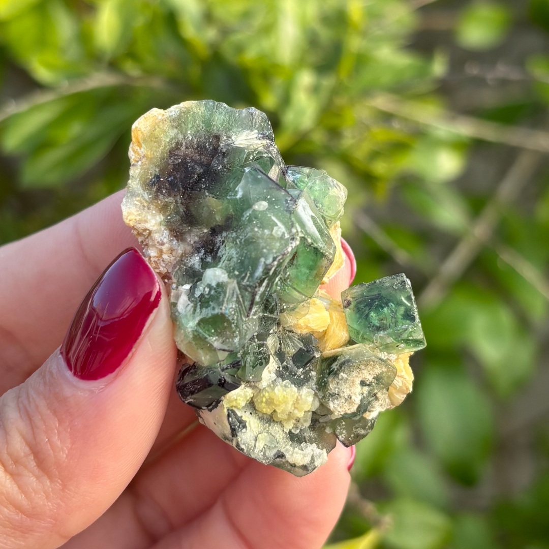 Fluorite (Green & Purple) with Schorl & Muscovite Specimen