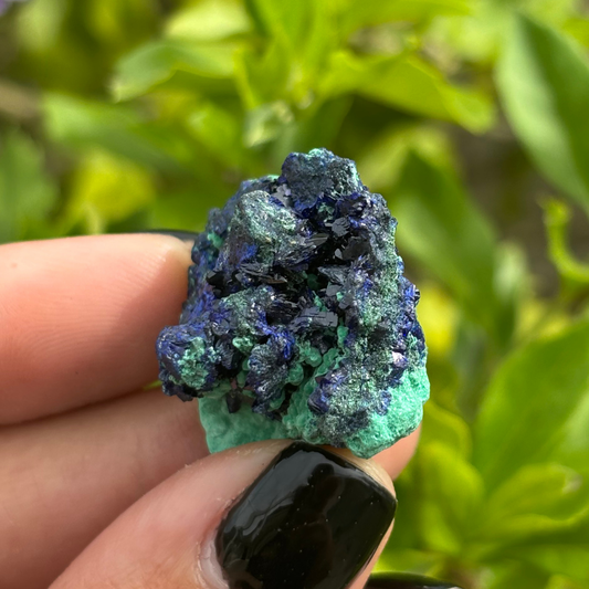 Gemmy Azurite with Malachite Specimen
