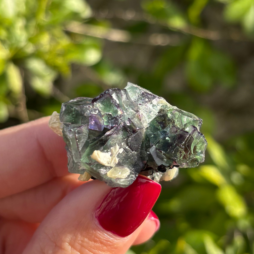 Fluorite (Green & Purple) with Schorl & Muscovite Specimen