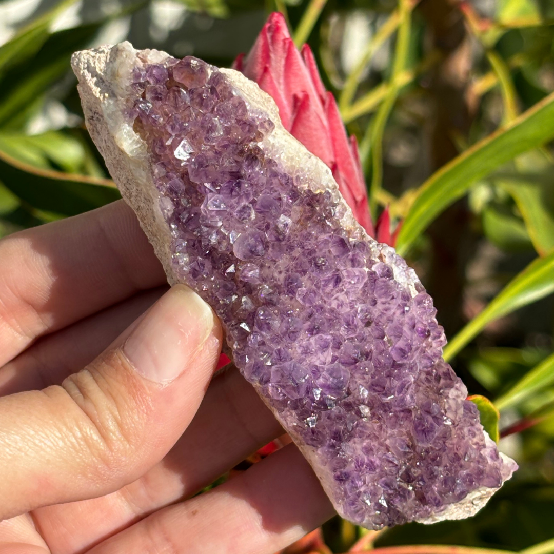 Amethyst Cluster - RSA (A Grade)