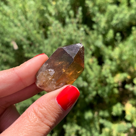 Kundalini Citrine Quartz Point - 24g