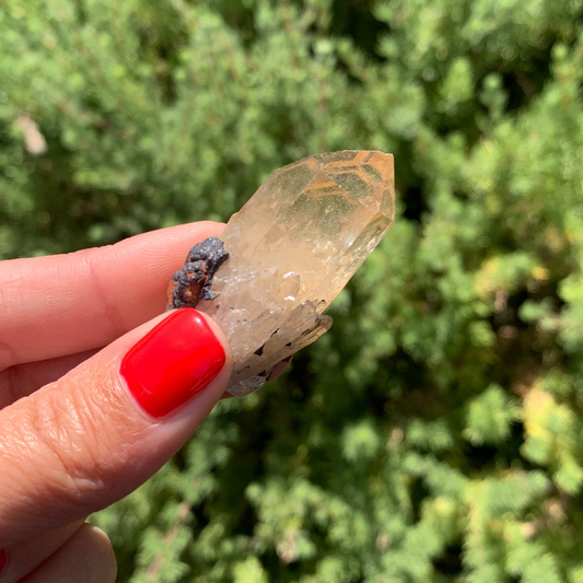 Kundalini Citrine Quartz Point - 25g