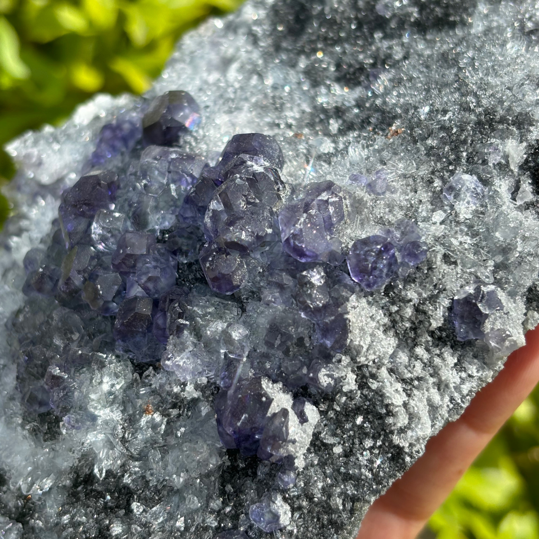 Purple Blue Polyhedral Fluorite Cluster with Clear Quartz (AKA Tanzanite Fluorite)