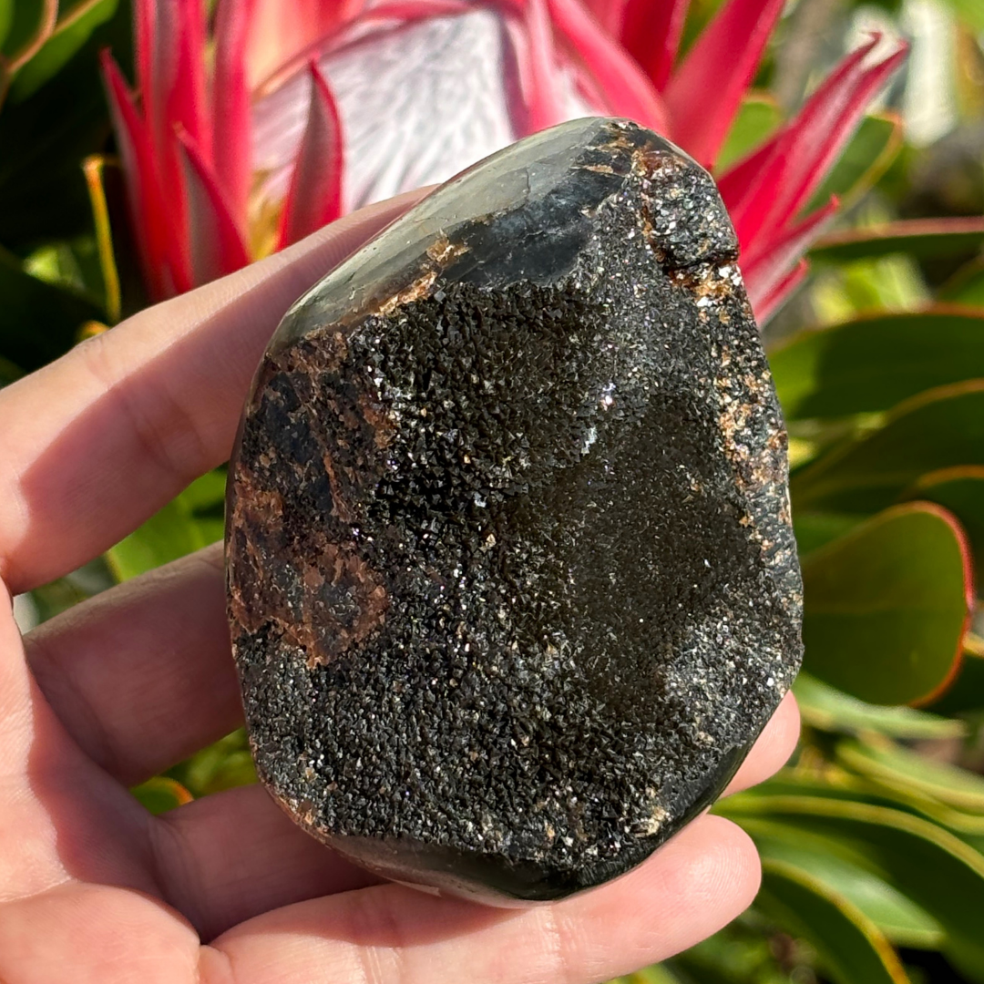Septarian Geode (Dragon Stone)