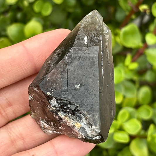 Smoky Quartz Point - A Grade