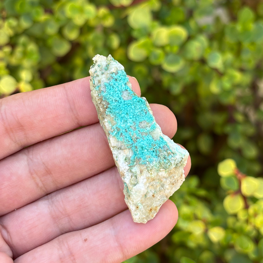 Aurichalcite Specimen