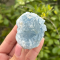 Celestite (aka Celestine) Specimen