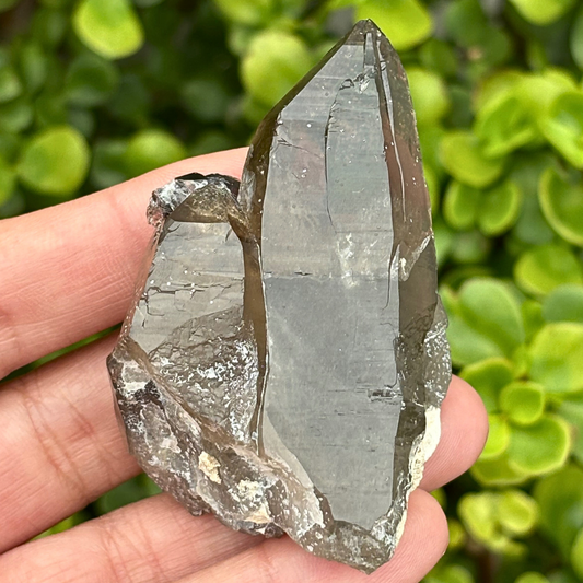 Smoky Quartz Point - A Grade