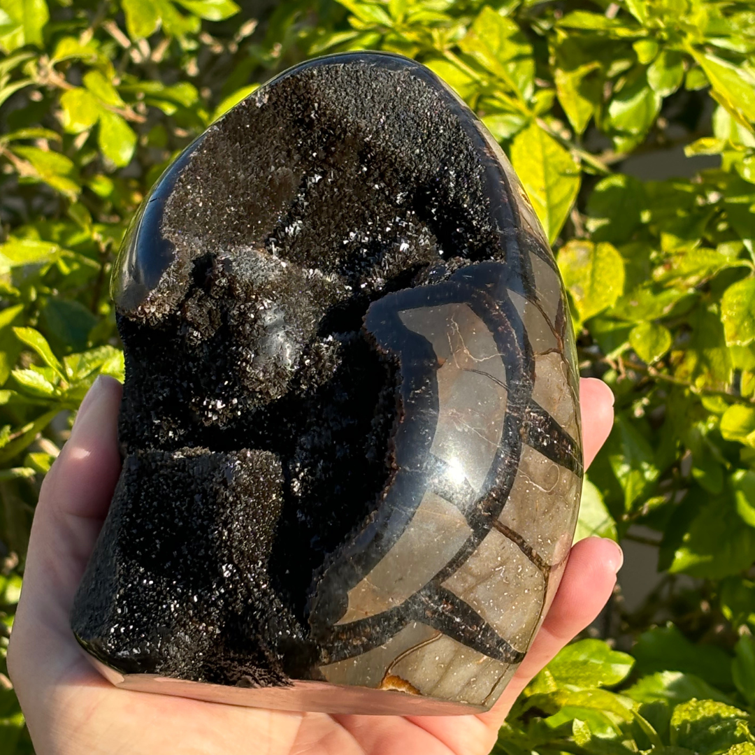 Septarian Geode (Dragon Egg) Self Standing