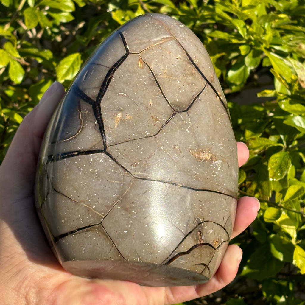 Septarian Geode (Dragon Stone) Self Standing