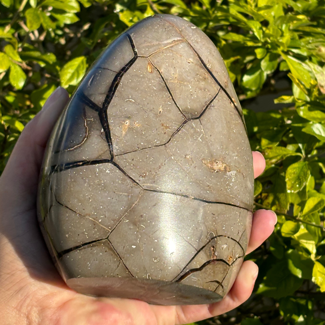 Septarian Geode (Dragon Egg) Self Standing