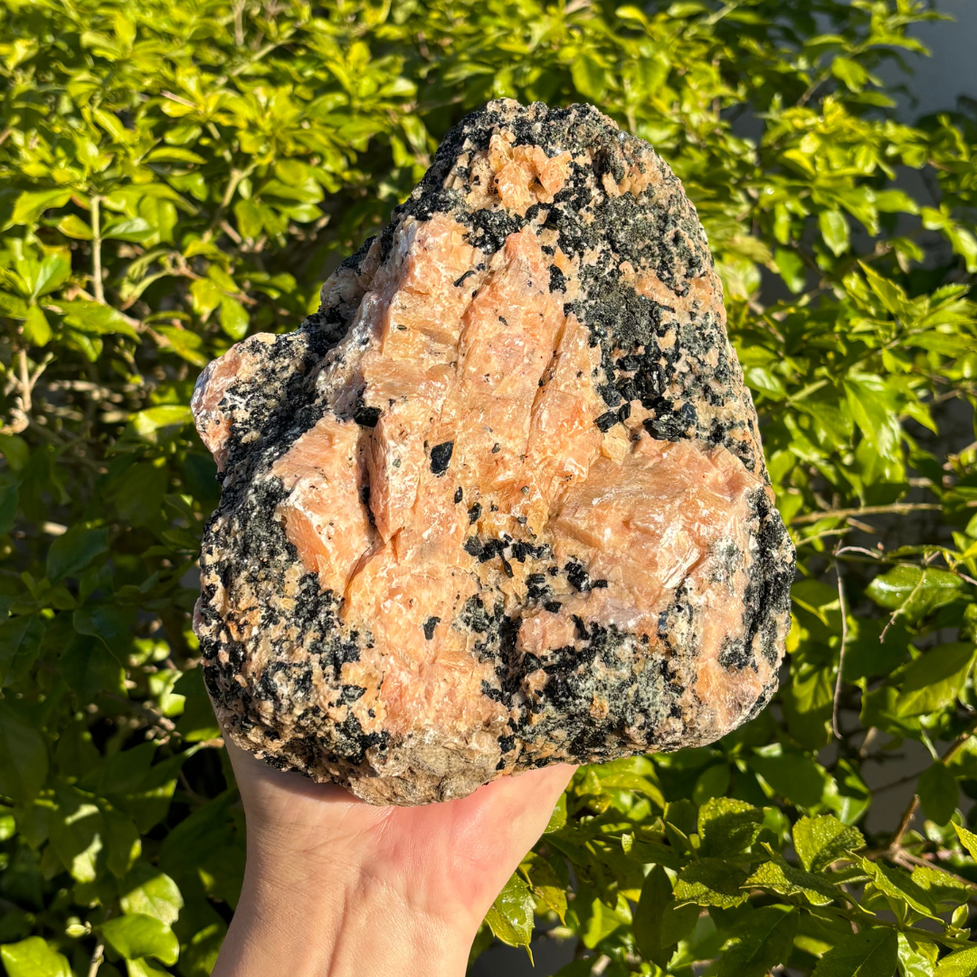 Calcite (Orange) with Phlogopite Mica Specimen