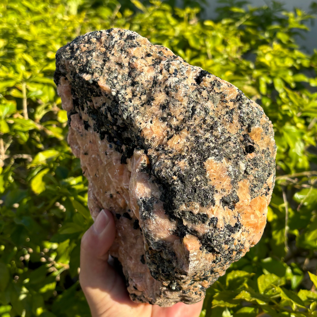 Calcite (Orange) with Phlogopite Mica Specimen