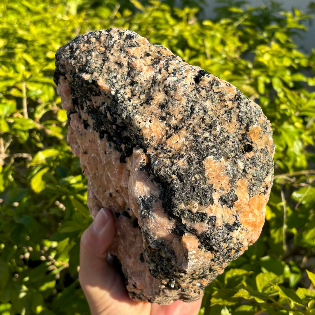 Calcite (Orange) with Phlogopite Mica Specimen