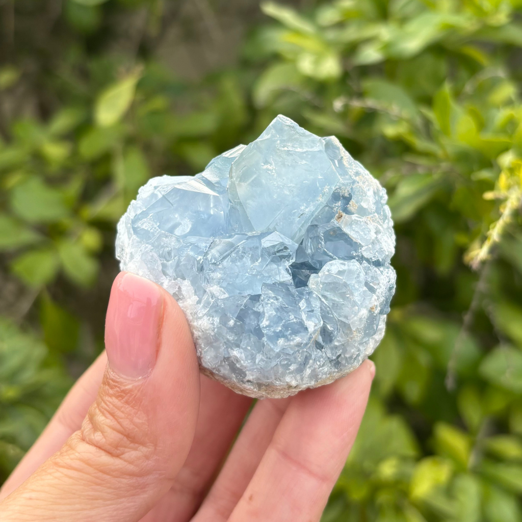 Celestite (aka Celestine) Specimen