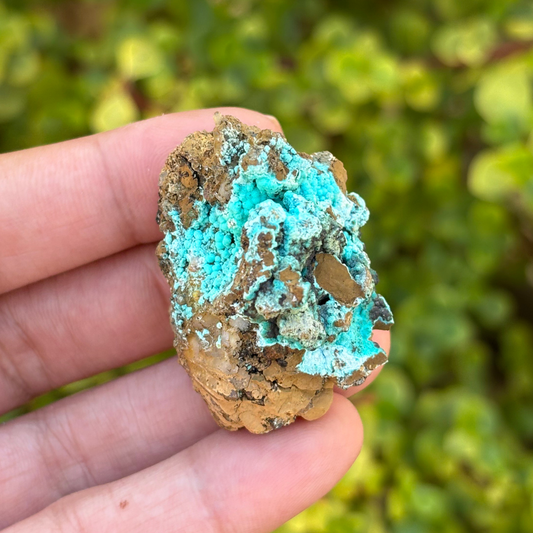 Aurichalcite Specimen