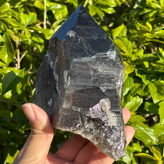 Smoky Quartz Point - A Grade - Large
