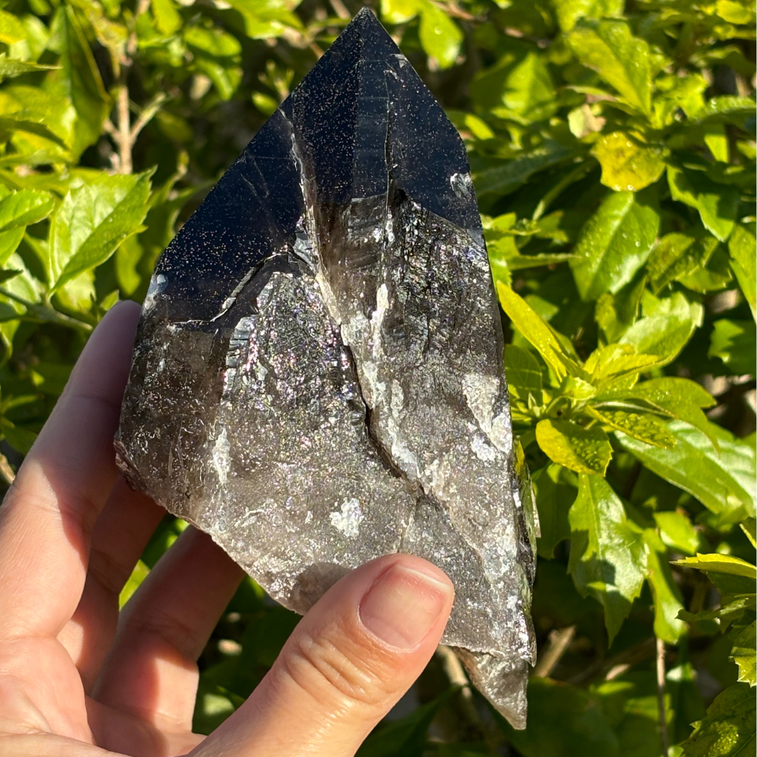 Smoky Quartz Point - A Grade - Large