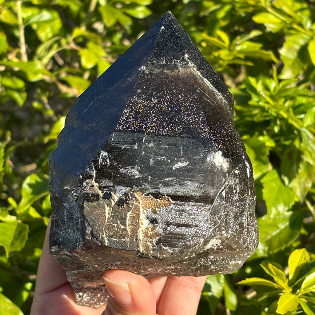 Smoky Quartz Point - A Grade