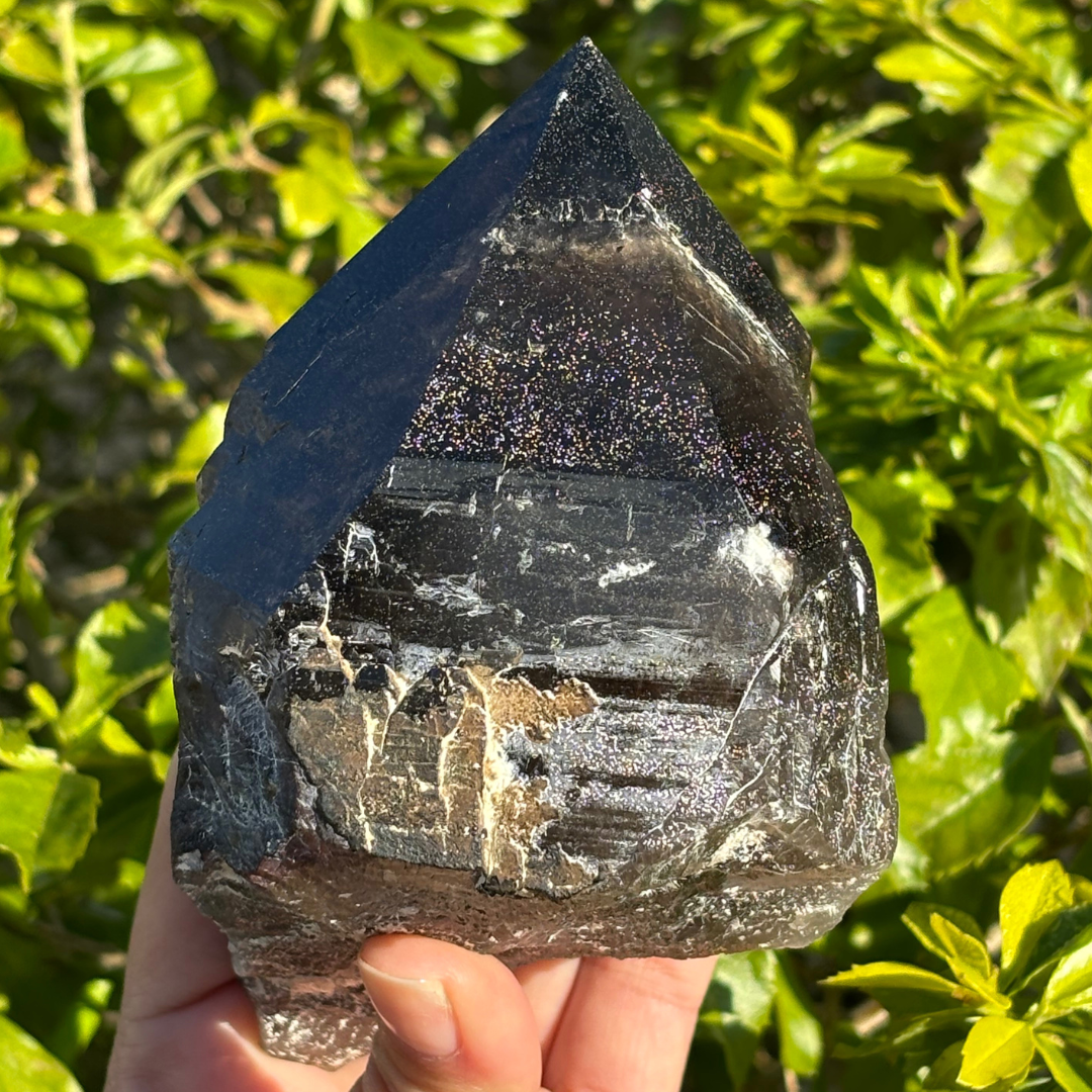 Smoky Quartz Point - A Grade - Large